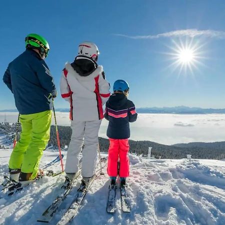 Studio Chaleureux Au Depart Des Sentiers Et Pistes De Ski Lajoux Exteriör bild