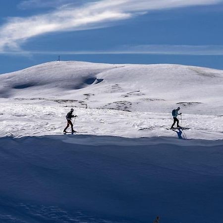 Studio Chaleureux Au Depart Des Sentiers Et Pistes De Ski Lajoux Exteriör bild