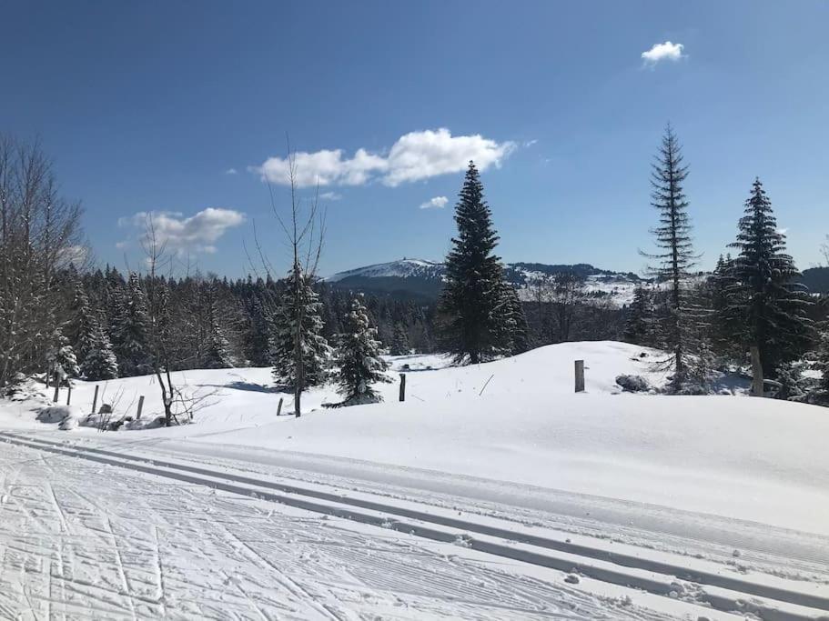 Studio Chaleureux Au Depart Des Sentiers Et Pistes De Ski Lajoux Exteriör bild