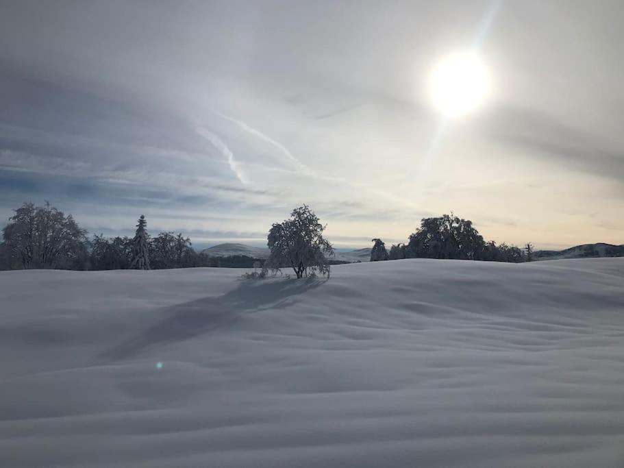 Studio Chaleureux Au Depart Des Sentiers Et Pistes De Ski Lajoux Exteriör bild