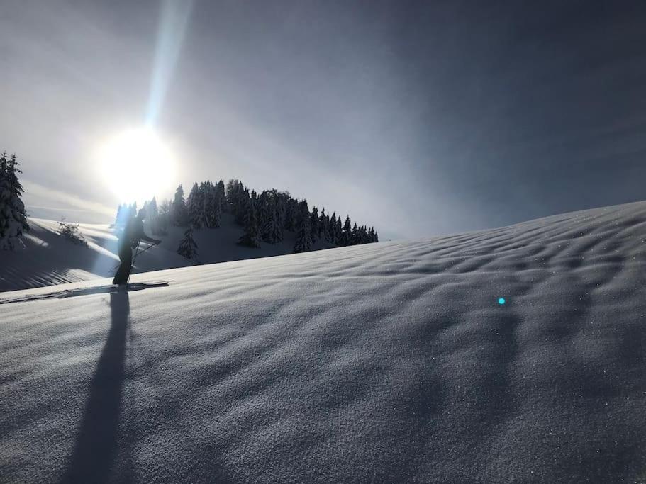 Studio Chaleureux Au Depart Des Sentiers Et Pistes De Ski Lajoux Exteriör bild