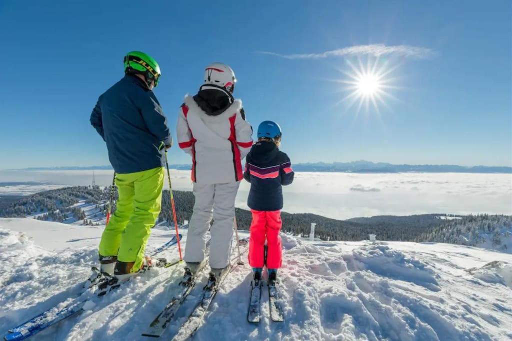Studio Chaleureux Au Depart Des Sentiers Et Pistes De Ski Lajoux Exteriör bild