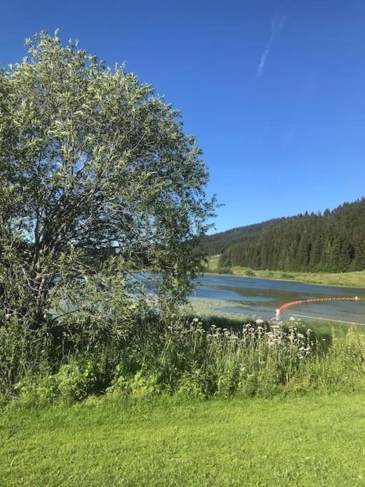 Studio Chaleureux Au Depart Des Sentiers Et Pistes De Ski Lajoux Exteriör bild