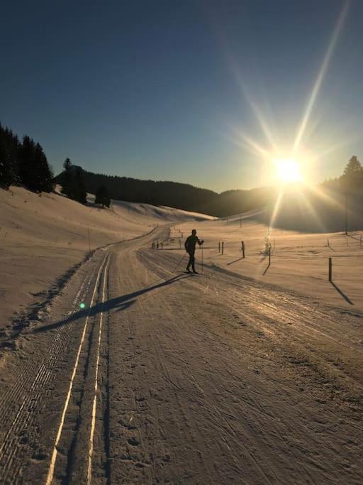 Studio Chaleureux Au Depart Des Sentiers Et Pistes De Ski Lajoux Exteriör bild
