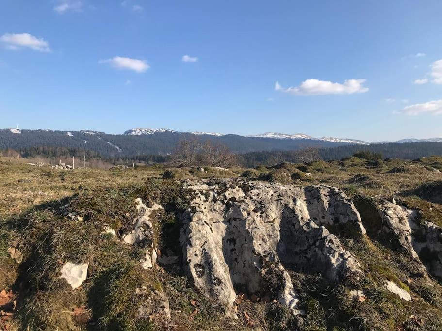Studio Chaleureux Au Depart Des Sentiers Et Pistes De Ski Lajoux Exteriör bild