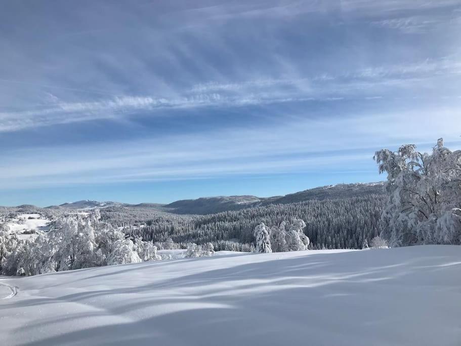 Studio Chaleureux Au Depart Des Sentiers Et Pistes De Ski Lajoux Exteriör bild