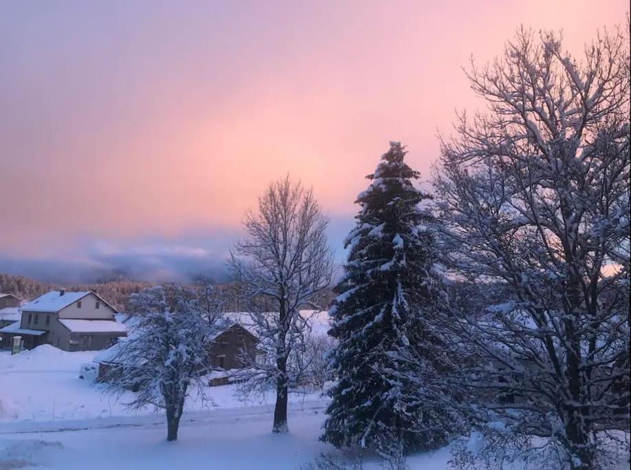 Studio Chaleureux Au Depart Des Sentiers Et Pistes De Ski Lajoux Exteriör bild