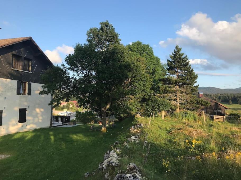 Studio Chaleureux Au Depart Des Sentiers Et Pistes De Ski Lajoux Exteriör bild